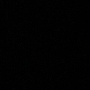 Meet your Posher, Rose